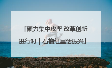 聚力集中攻坚·改革创新进行时｜石榴红里话振兴