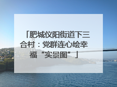 肥城仪阳街道下三合村：党群连心绘幸福“实景图”