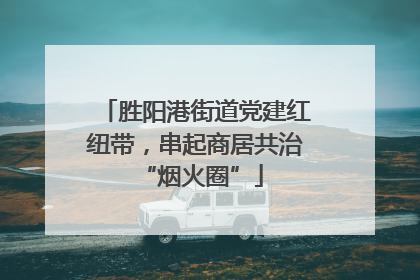 胜阳港街道党建红纽带，串起商居共治 “烟火圈”