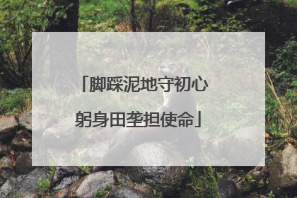 脚踩泥地守初心 躬身田垄担使命