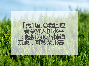 腾讯副总裁回应王者荣耀人机水平：起初为顶替掉线玩家，可秒杀比赛级玩家
