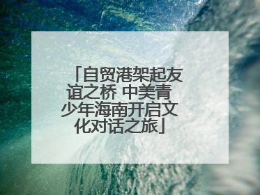 自贸港架起友谊之桥 中美青少年海南开启文化对话之旅