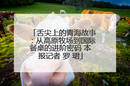 舌尖上的青海故事：从高原牧场到国际餐桌的进阶密码 本报记者 罗 珺