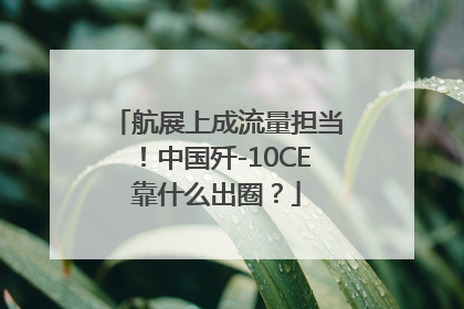航展上成流量担当！中国歼-10CE靠什么出圈？
