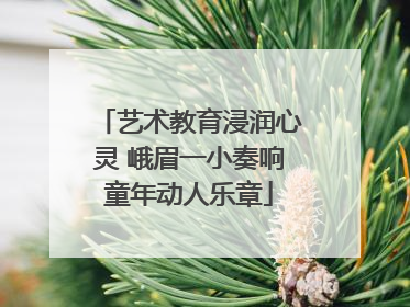 艺术教育浸润心灵 峨眉一小奏响童年动人乐章