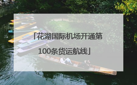 花湖国际机场开通第100条货运航线