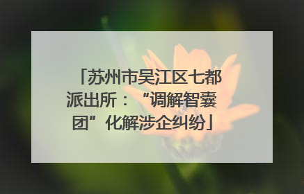 苏州市吴江区七都派出所：“调解智囊团”化解涉企纠纷