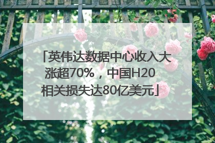 英伟达数据中心收入大涨超70%，中国H20相关损失达80亿美元