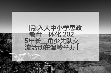 融入大中小学思政教育一体化 2025年长三角少先队交流活动在温岭举办