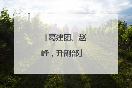 葛建团、赵峰，升副部