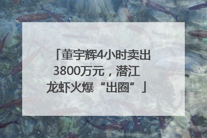 董宇辉4小时卖出3800万元，潜江龙虾火爆“出圈”