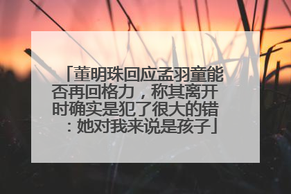 董明珠回应孟羽童能否再回格力，称其离开时确实是犯了很大的错：她对我来说是孩子