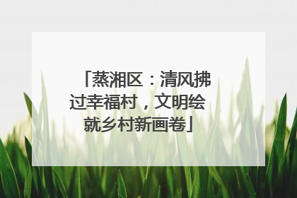 蒸湘区：清风拂过幸福村，文明绘就乡村新画卷