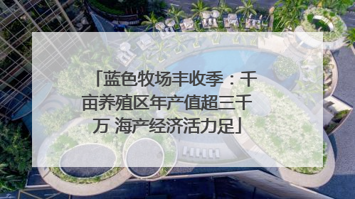 蓝色牧场丰收季：千亩养殖区年产值超三千万 海产经济活力足