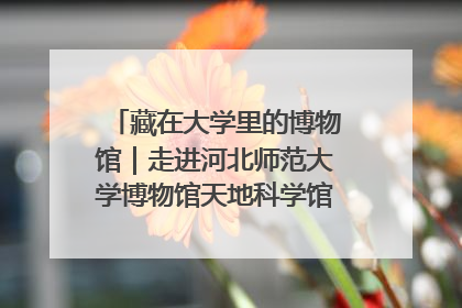 藏在大学里的博物馆｜走进河北师范大学博物馆天地科学馆：在校园里赴一场“宇宙之约”