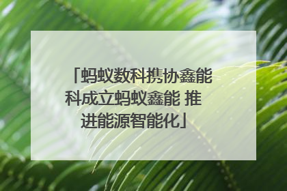 蚂蚁数科携协鑫能科成立蚂蚁鑫能 推进能源智能化