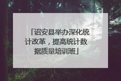诏安县举办深化统计改革,提高统计数据质量培训班