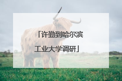 许勤到哈尔滨工业大学调研