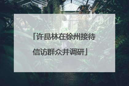 许昆林在徐州接待信访群众并调研