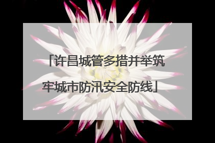 许昌城管多措并举筑牢城市防汛安全防线