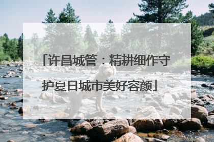 许昌城管：精耕细作守护夏日城市美好容颜
