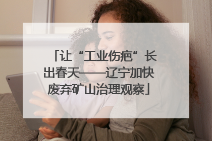 让“工业伤疤”长出春天——辽宁加快废弃矿山治理观察