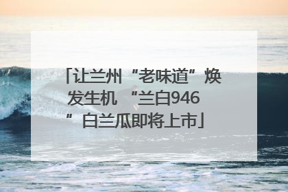 让兰州“老味道”焕发生机 “兰白946”白兰瓜即将上市