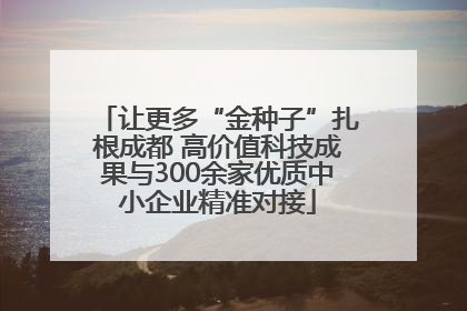 让更多“金种子”扎根成都 高价值科技成果与300余家优质中小企业精准对接