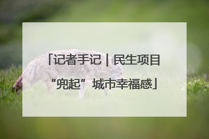 记者手记｜民生项目“兜起”城市幸福感
