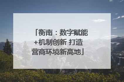 衡南：数字赋能+机制创新 打造营商环境新高地
