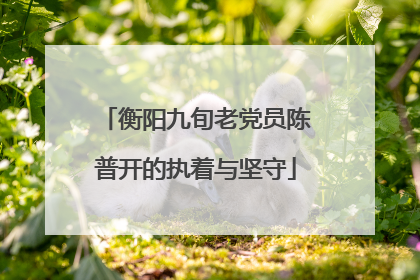 衡阳九旬老党员陈普开的执着与坚守