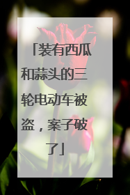装有西瓜和蒜头的三轮电动车被盗，案子破了