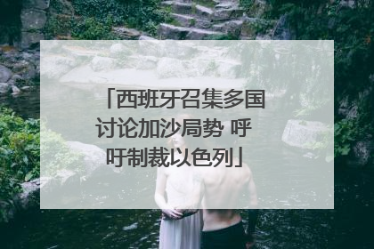 西班牙召集多国讨论加沙局势 呼吁制裁以色列