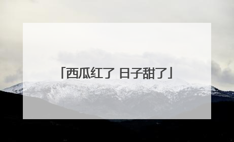西瓜红了 日子甜了