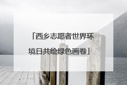 西乡志愿者世界环境日共绘绿色画卷