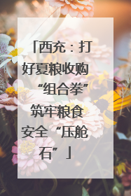 西充：打好夏粮收购“组合拳” 筑牢粮食安全“压舱石”