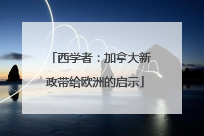 西学者：加拿大新政带给欧洲的启示