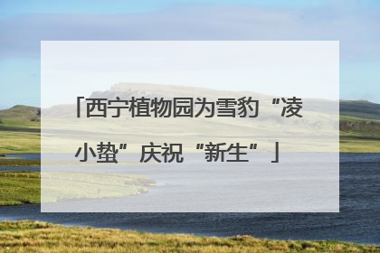 西宁植物园为雪豹“凌小蛰”庆祝“新生”
