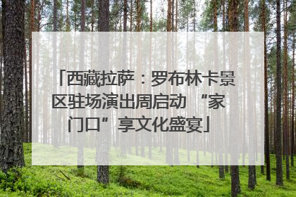 西藏拉萨：罗布林卡景区驻场演出周启动 “家门口”享文化盛宴