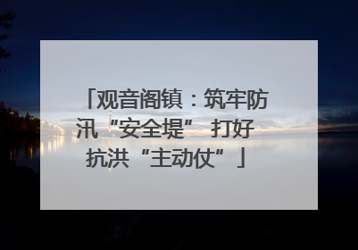 观音阁镇：筑牢防汛“安全堤” 打好抗洪“主动仗”
