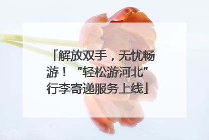 解放双手，无忧畅游！“轻松游河北”行李寄递服务上线