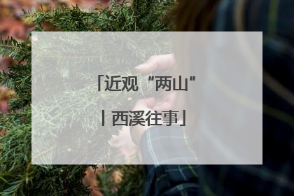近观“两山”丨西溪往事