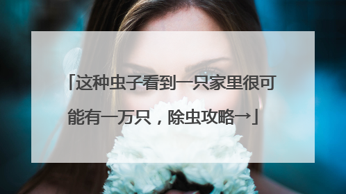 这种虫子看到一只家里很可能有一万只，除虫攻略→