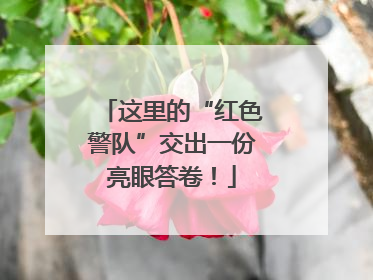 这里的“红色警队”交出一份亮眼答卷！