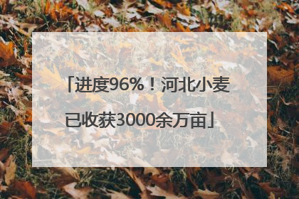 进度96%！河北小麦已收获3000余万亩