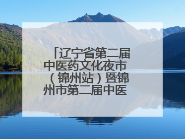 辽宁省第二届中医药文化夜市（锦州站）暨锦州市第二届中医康养夜市启幕
