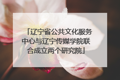 辽宁省公共文化服务中心与辽宁传媒学院联合成立两个研究院
