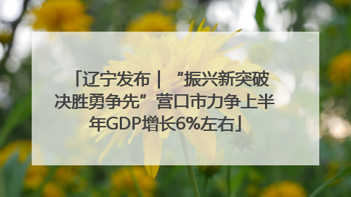 辽宁发布｜“振兴新突破 决胜勇争先”营口市力争上半年GDP增长6%左右