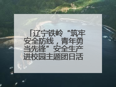 辽宁铁岭“筑牢安全防线，青年勇当先锋”安全生产进校园主题团日活动举行