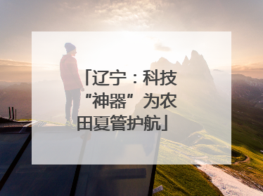 辽宁：科技“神器”为农田夏管护航